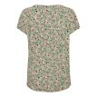 Fransa Fedot camellia rose 